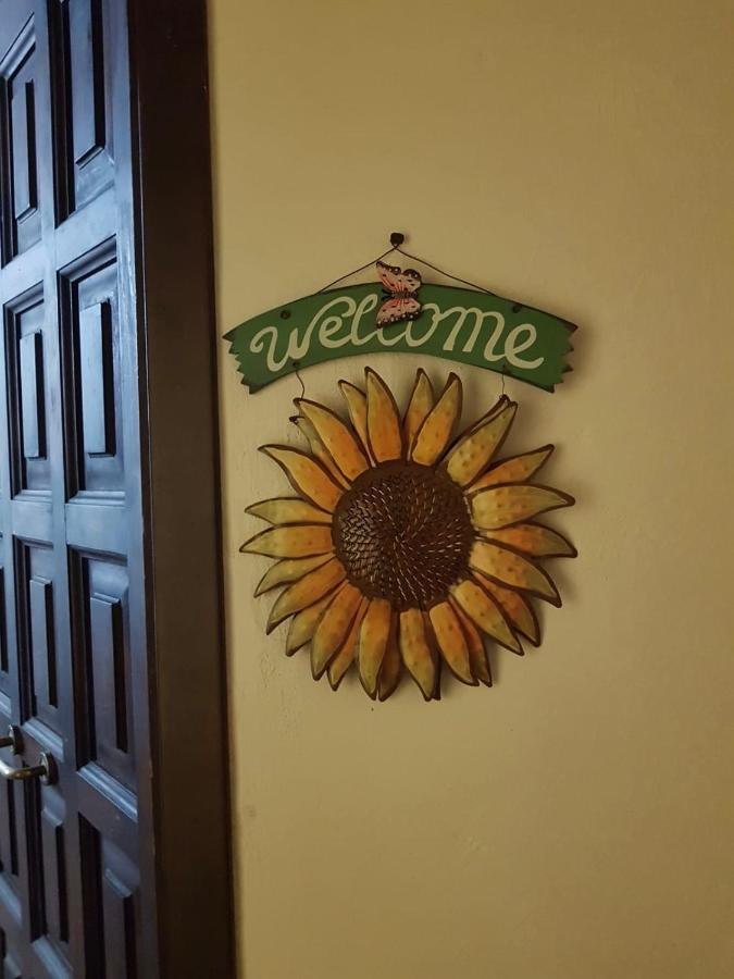 Il Girasole Storico Apartment Pitigliano Exterior foto