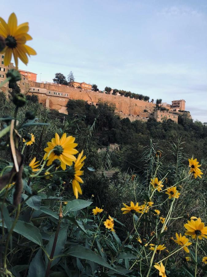 Il Girasole Storico Apartment Pitigliano Exterior foto